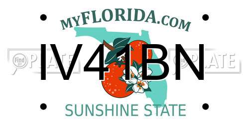 IV41BN Florida License Plate