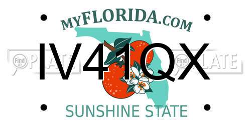 IV41QX Florida License Plate