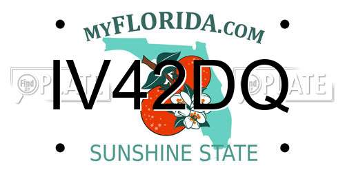 IV42DQ Florida License Plate