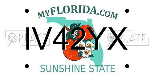 IV42YX Florida License Plate