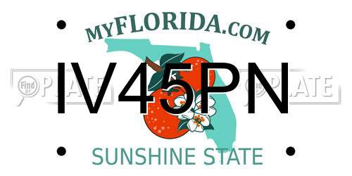 IV45PN Florida License Plate
