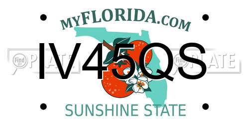 IV45QS Florida License Plate