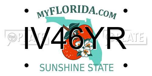 IV46YR Florida License Plate