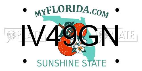 IV49GN Florida License Plate