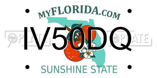 IV50DQ Florida License Plate