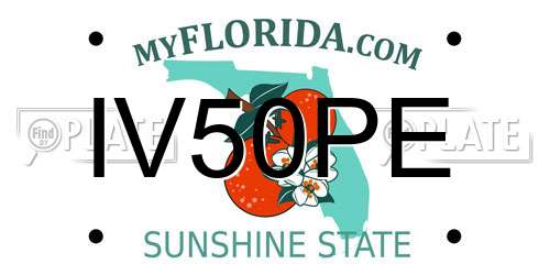 IV50PE Florida License Plate