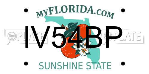 IV54BP Florida License Plate