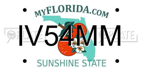 IV54MM Florida License Plate