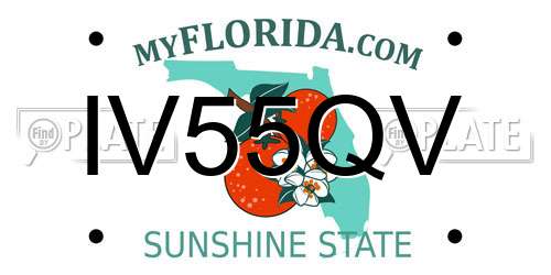 IV55QV Florida License Plate