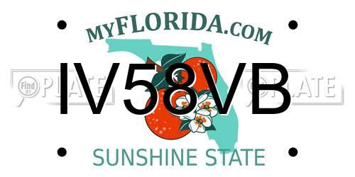 IV58VB Florida License Plate