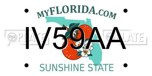 IV59AA Florida License Plate