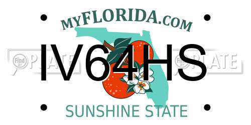 IV64HS Florida License Plate
