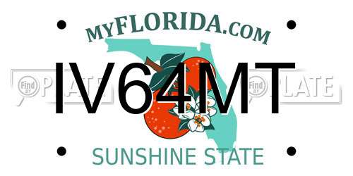 IV64MT Florida License Plate