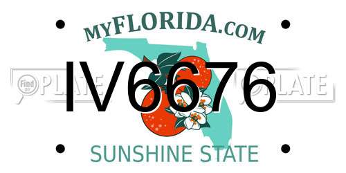 IV6676 Florida License Plate