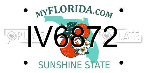 IV6872 Florida License Plate
