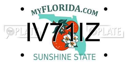 IV71IZ Florida License Plate