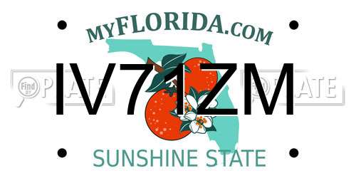 IV71ZM Florida License Plate