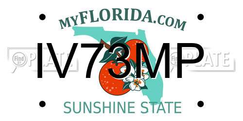 IV73MP Florida License Plate