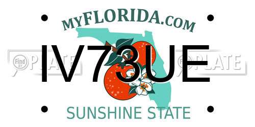 IV73UE Florida License Plate