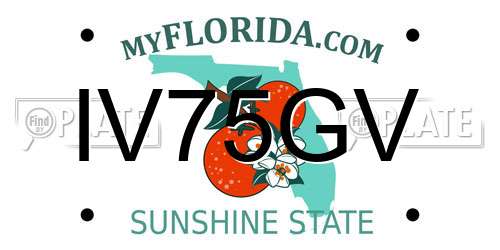 IV75GV Florida License Plate