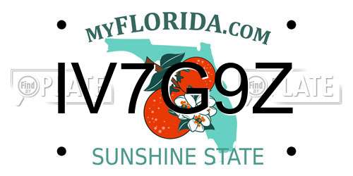 IV7G9Z Florida License Plate