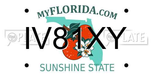IV81XY Florida License Plate