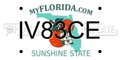 IV83CE Florida License Plate