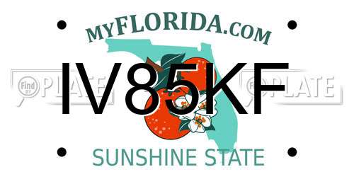 IV85KF Florida License Plate
