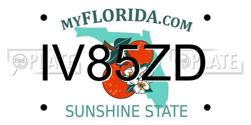 IV85ZD Florida License Plate
