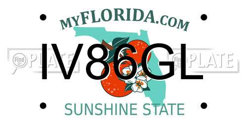 IV86GL Florida License Plate