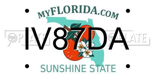 IV87DA Florida License Plate