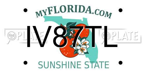 IV87TL Florida License Plate