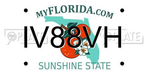 IV88VH Florida License Plate