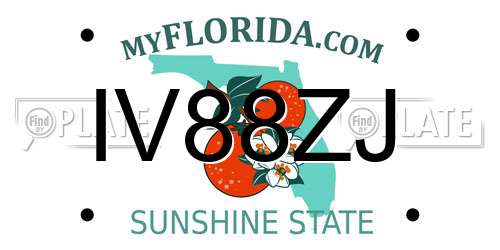 IV88ZJ Florida License Plate