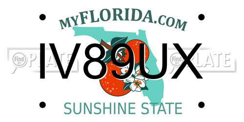 IV89UX Florida License Plate