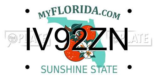 IV92ZN Florida License Plate