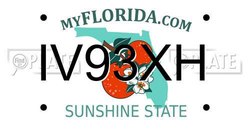 IV93XH Florida License Plate