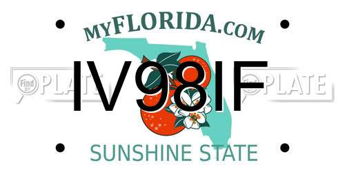 IV98IF Florida License Plate