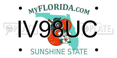 IV98UC Florida License Plate