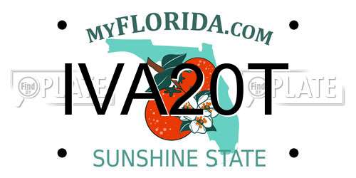 IVA20T Florida License Plate
