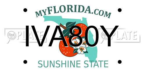 IVA80Y Florida License Plate