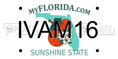 IVAM16 Florida License Plate
