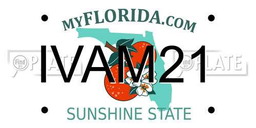 IVAM21 Florida License Plate