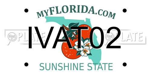 IVAT02 Florida License Plate