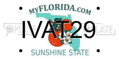IVAT29 Florida License Plate