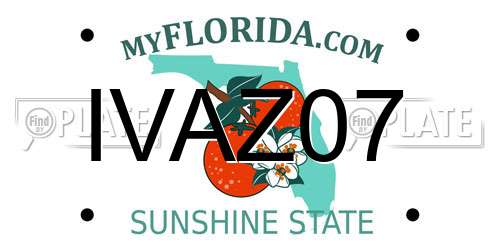 IVAZ07 Florida License Plate