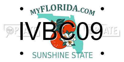 IVBC09 Florida License Plate