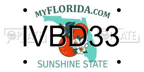 IVBD33 Florida License Plate