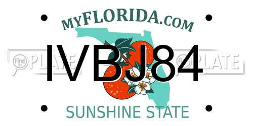IVBJ84 Florida License Plate