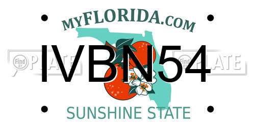 IVBN54 Florida License Plate